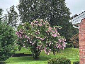 908 Drew Lane, Saint James NY 11780