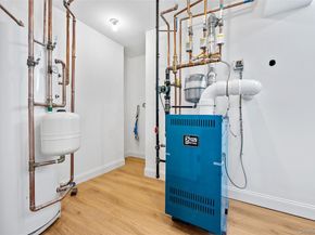 294 Curtis Avenue, Carle Place NY 11514