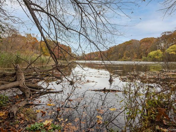 46-42 215th Place 1C, Bayside NY 11361