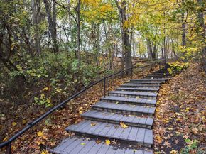 46-42 215th Place 1C, Bayside NY 11361