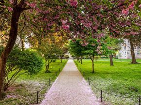 55-03 31st Avenue C6K, Woodside NY 11377