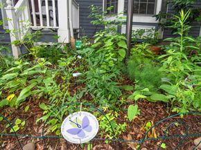 149 King Street 4, Chappaqua NY 10514