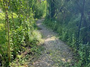 3 Shang Lee Drive, Manorville NY 11949
