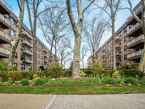 4 Birchwood 1B, Mineola NY 11501