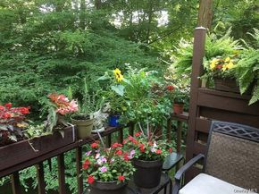 249 Mill River Road, Chappaqua NY 10514