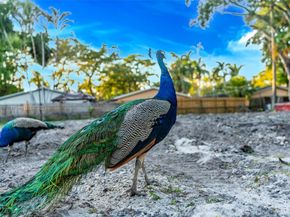 2361 SW 18th Ave, Fort Lauderdale FL 33315