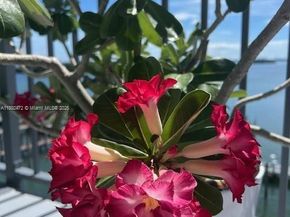 770 NE 69th St 5D, Miami FL 33138