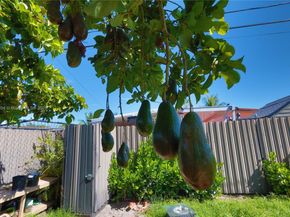 631 SE 3rd Pl, Hialeah FL 33010