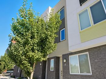 254 Terraine Street