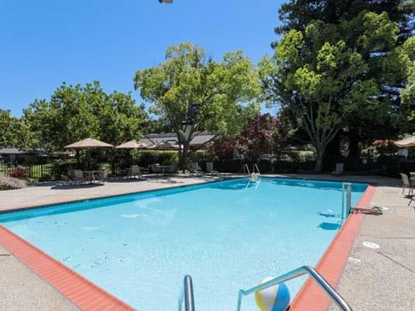 23 Bay Tree Lane, Los Altos CA 94022