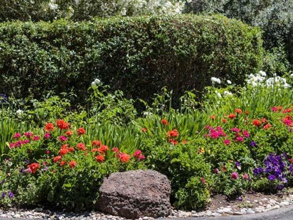 23 Bay Tree Lane, Los Altos CA 94022