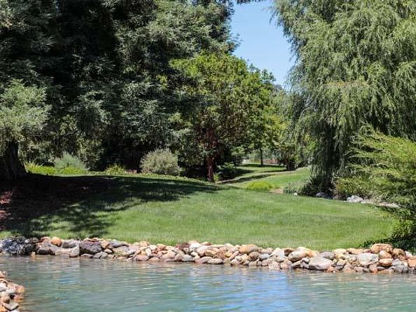 23 Bay Tree Lane, Los Altos CA 94022