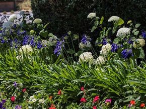 23 Bay Tree Lane, Los Altos CA 94022