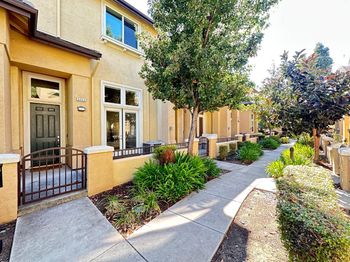 5043 Le Miccine Terrace