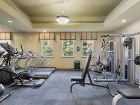1390 Saddle Rack Street 234, San Jose CA 95126