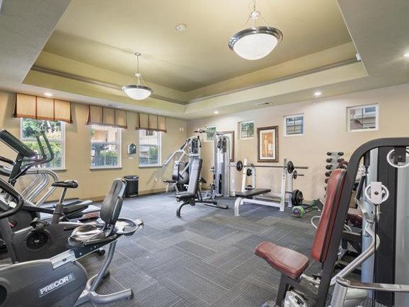1390 Saddle Rack Street 234, San Jose CA 95126