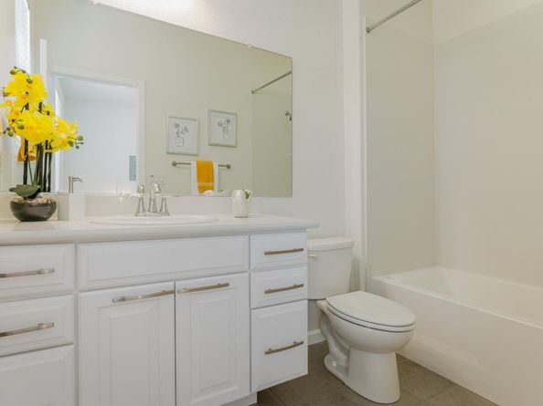 862 White Moonstone Loop, San Jose CA 95123