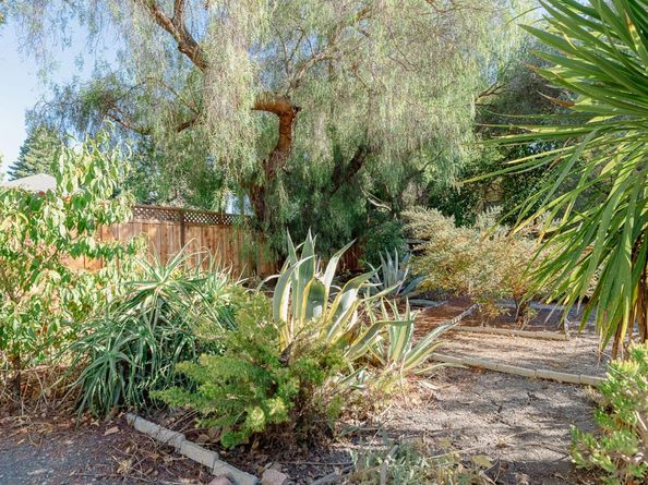 453 N Rengstorff Avenue 15, Mountain View CA 94043