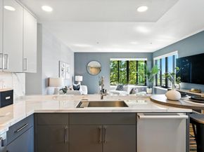 88 Bush Street 3187, San Jose CA 95126