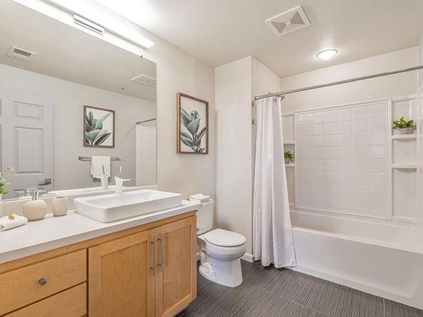 800 N 8th Street 311, San Jose CA 95112