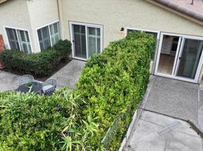 1503 Willowhaven Court, San Jose CA 95126