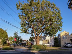 2570 Havenscourt Boulevard, Oakland CA 94605