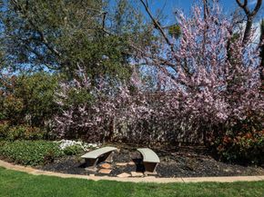 253 Fremont Avenue, Los Altos CA 94024