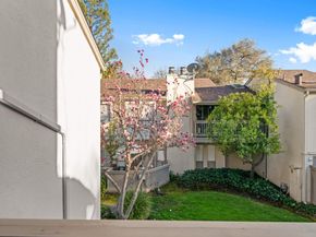 19224 Vineyard Lane, Saratoga CA 95070