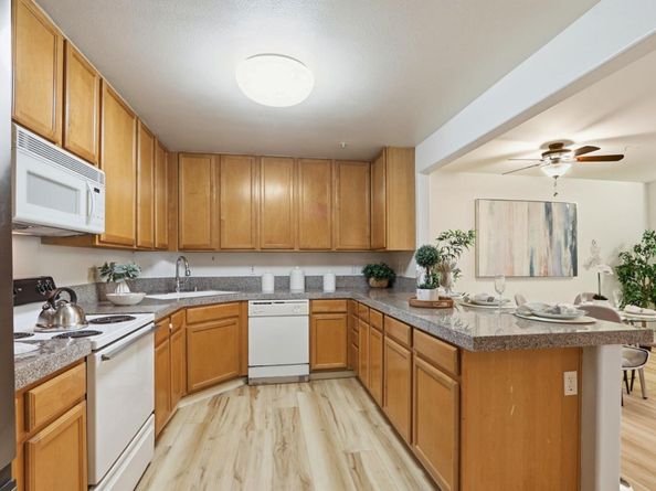 134 Carroll Street 202, Sunnyvale CA 94086