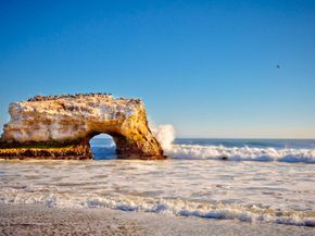 312 Elm Street, Santa Cruz CA 95060