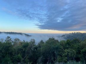 132 Pax Place Court, Aptos CA 95003