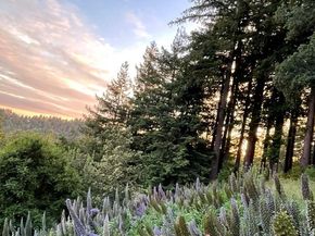 132 Pax Place Court, Aptos CA 95003