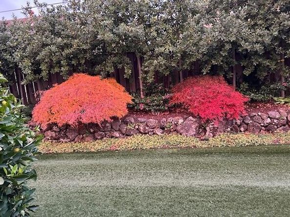 22408 Balustrol Court, Cupertino CA 95014