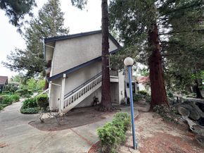 1034 Summermist Court, San Jose CA 95122