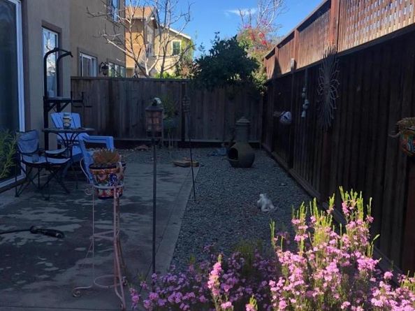 10864 Peerless Court, Oakland CA 94603