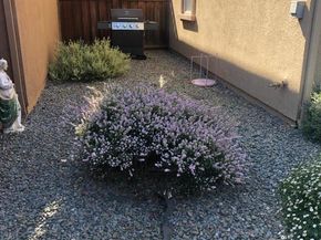 10864 Peerless Court, Oakland CA 94603