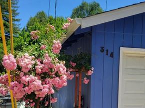 314 Riverside Park Drive, Ben Lomond CA 95005