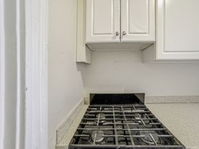 43 Linnaean 1, Cambridge MA 02138