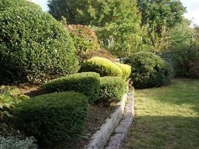 19 S Crescent Circuit, Boston MA 02135