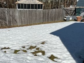 10 Edgemere Rd, Quincy MA 02169