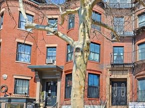 667 Tremont Street 1, Boston MA 02118