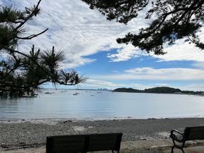 303 Nahant Rd, Nahant MA 01908