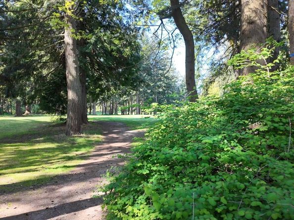 24 J View Place, Hat Island WA 98206