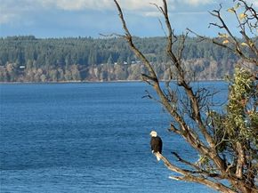 24 J View Place, Hat Island WA 98206