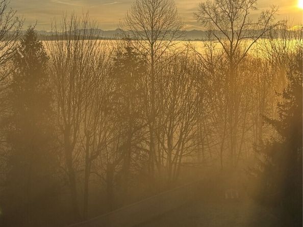 15516 129th Avenue NE, Woodinville WA 98072