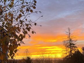 15516 129th Avenue NE, Woodinville WA 98072