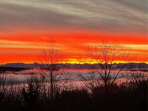 15516 129th Avenue NE, Woodinville WA 98072