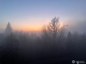 15516 129th Avenue NE, Woodinville WA 98072