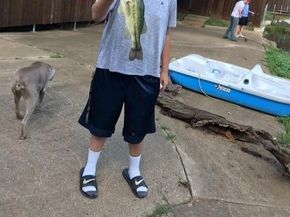 204  Pembrook Street , Lake Dallas Texas 75065