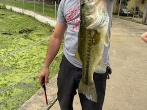 204  Pembrook Street , Lake Dallas Texas 75065